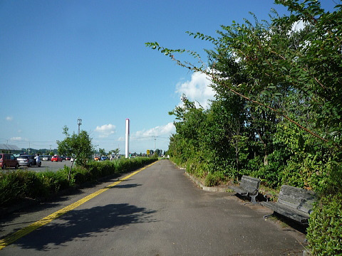 P1040490.jpg