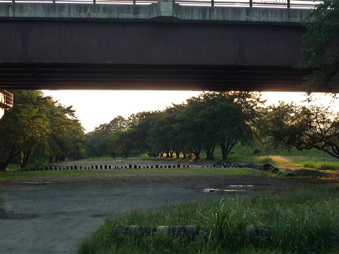 P1040500.jpg