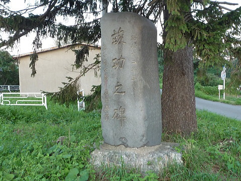 P1040503.jpg