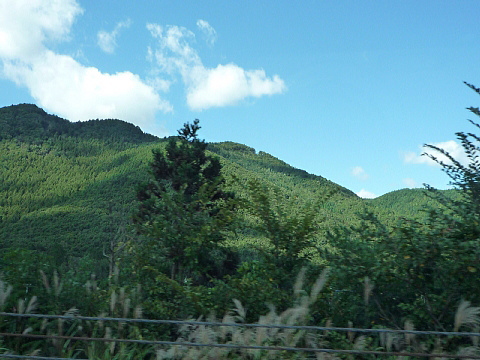 P1040568.jpg