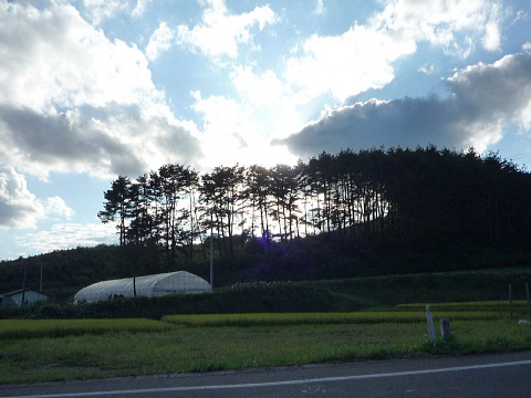 P1040571.jpg