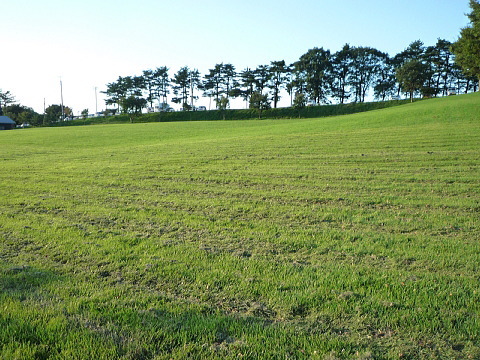 P1040577.jpg