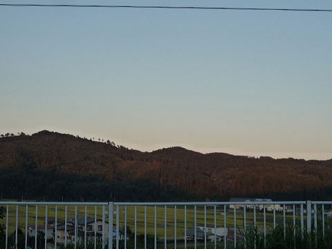 P1040585.jpg