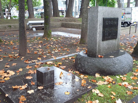 P1040831.jpg