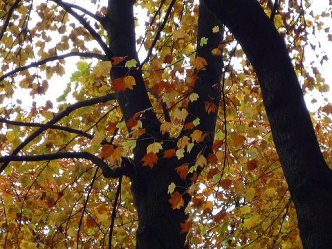 P1040843.jpg