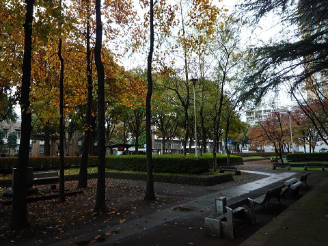 P1040846.jpg