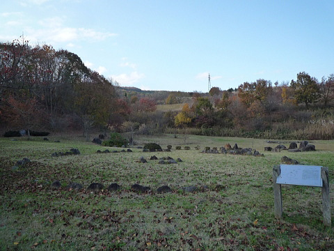P1040903.jpg