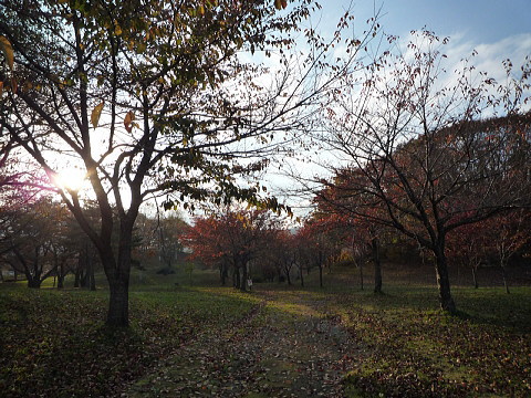P1040929.jpg