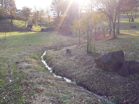 P1040949.jpg