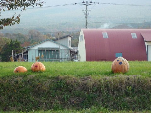 P1040988.jpg