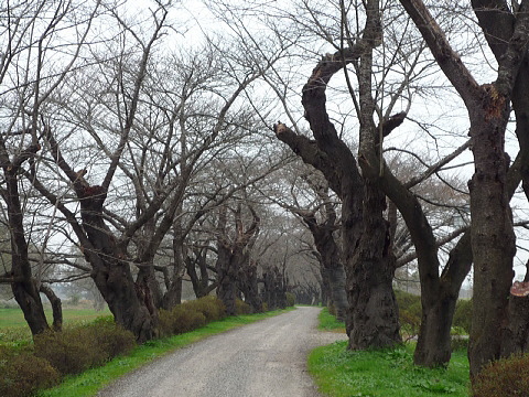 P1050017.jpg