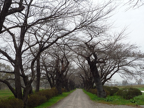 P1050021.jpg