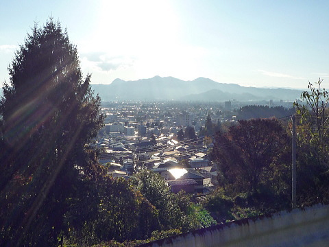 P1050056.jpg