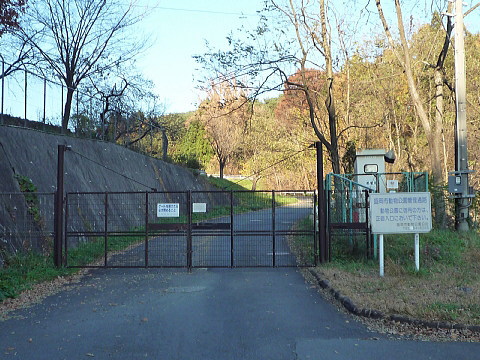 P1050057.jpg
