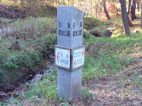 P1050061.jpg