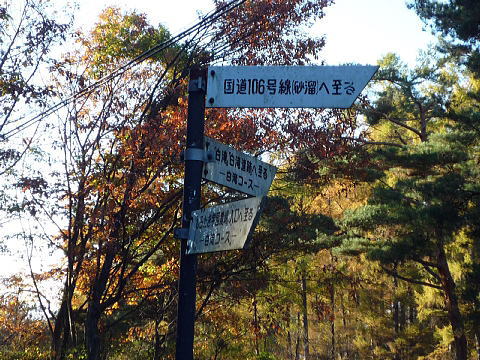 P1050062.jpg