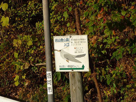 P1050074.jpg