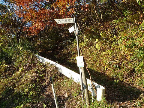 P1050080.jpg