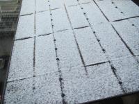雪の朝4