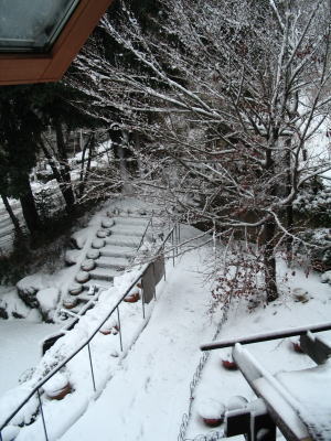 伊豆高原　ギャラリー　ショップ　ギャラリーぶなの木　雪景色