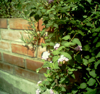 20111005-1.jpg