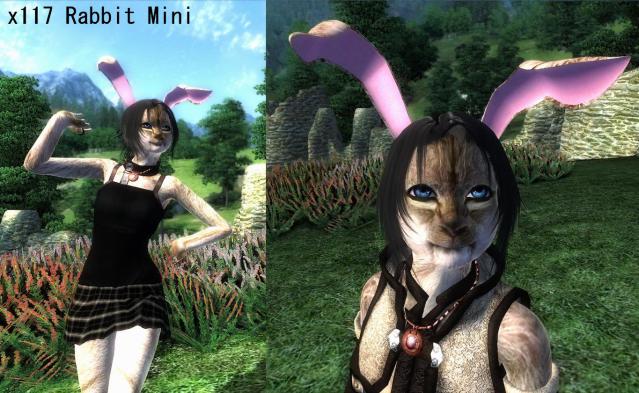 x117 Rabbit Mini 01