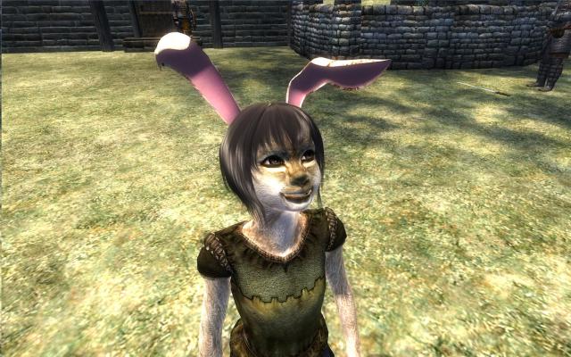 x117 Rabbit Mini 03