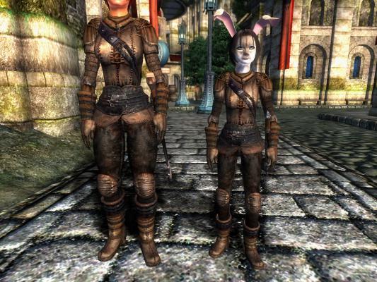 Leather Armor Acup 01
