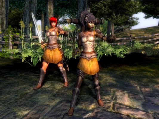 Iron Armor Bcup