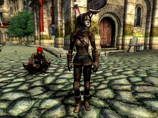 Leather Armor Acup 02
