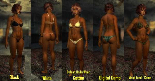 v1.1 Lingerie 02