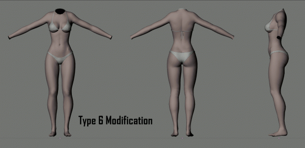 Type 6 Modification02