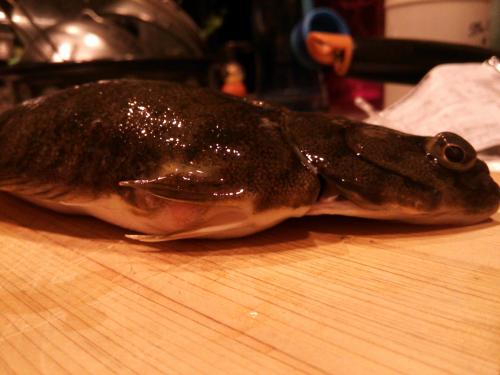 DSC_0418_convert_20131128153345.jpg