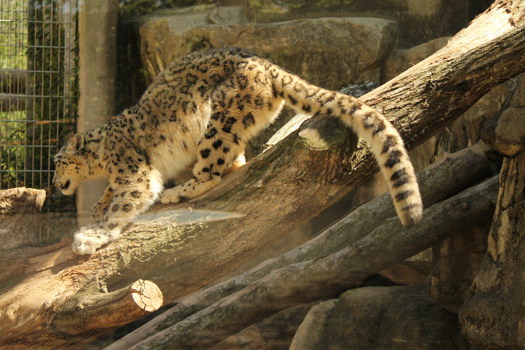 20120427_yukihyou_09.jpg