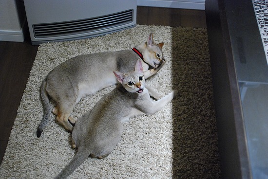 DSC_0663_20111021193710.jpg