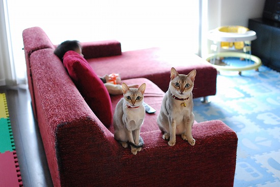 DSC_0975.jpg