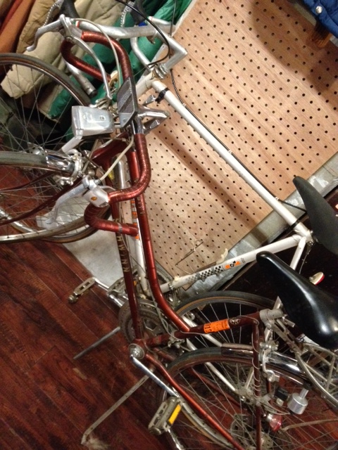 写真 5 (2)