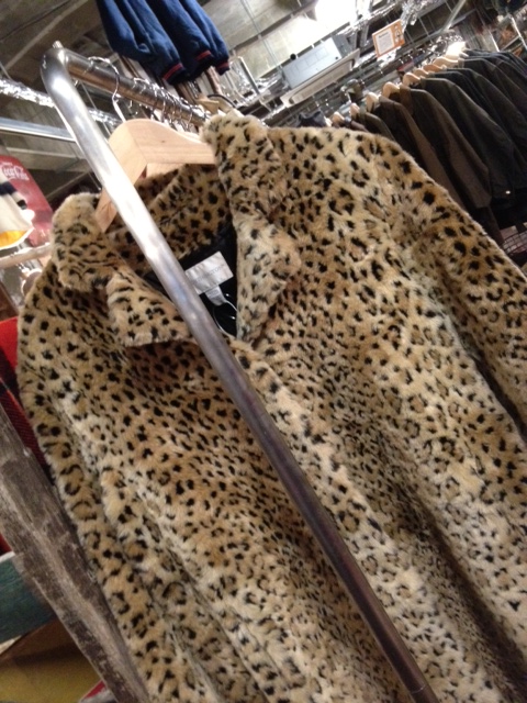写真 2 (11)