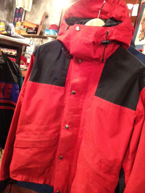 写真 2 (12)