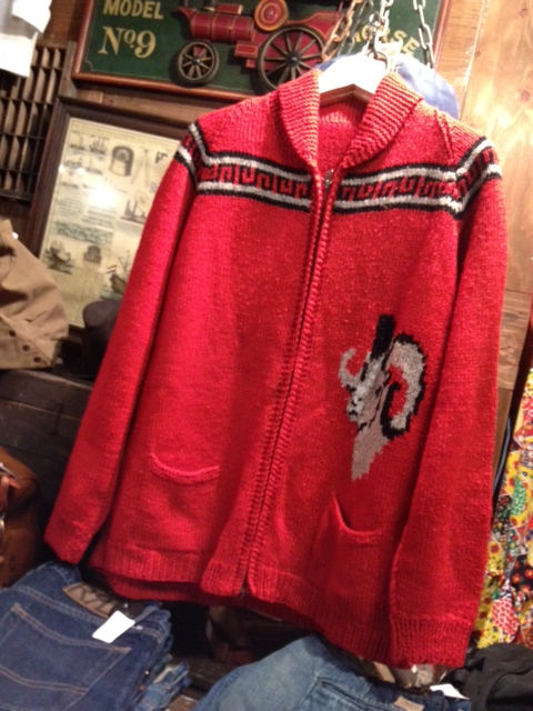 写真 1 (17)