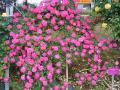 2013060205.jpg