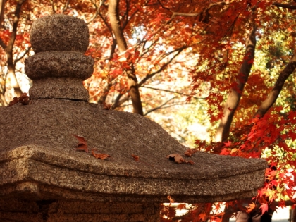 神代植物公園