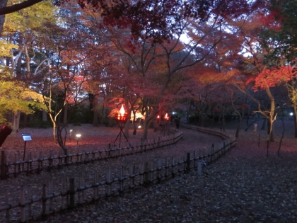 神代植物公園