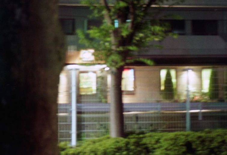 木