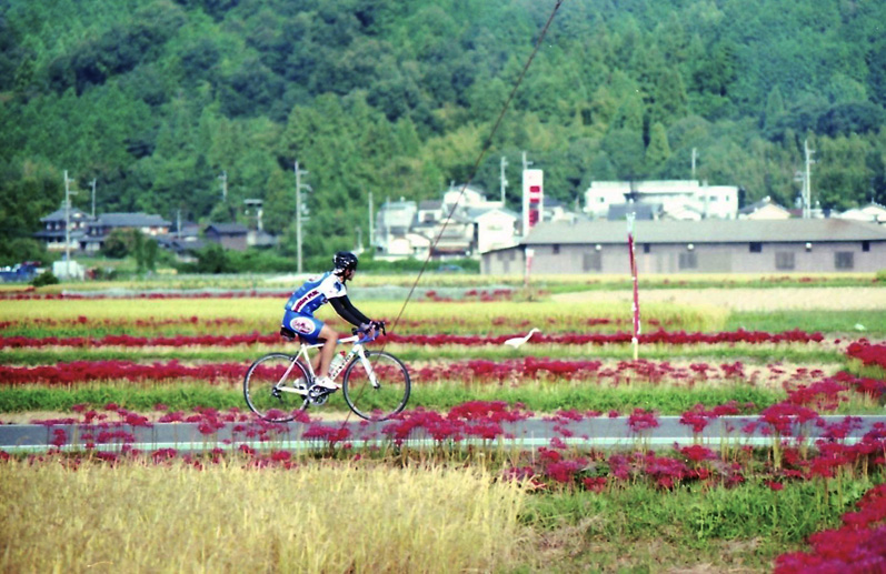 彼岸花サイクルロード