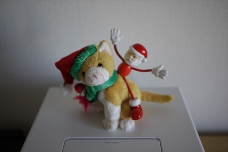 P1140655.jpg