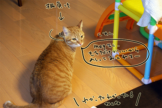 むごんのこうぎ6