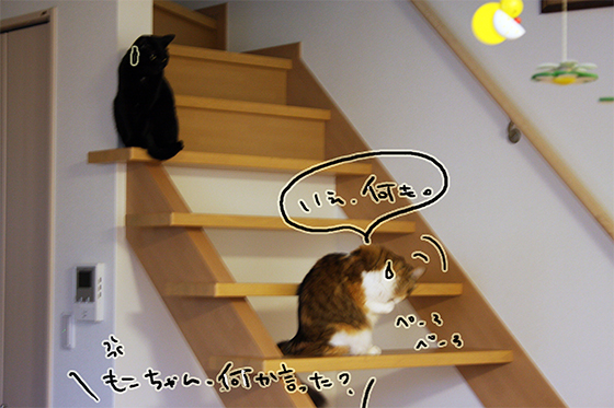 むごんのこうぎ5