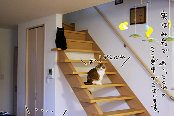 むごんのこうぎ4