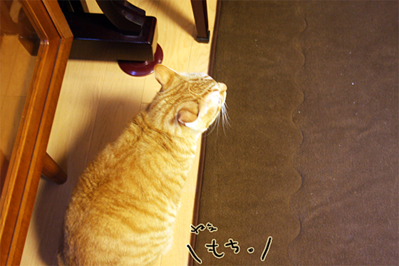 むごんのこうぎ1